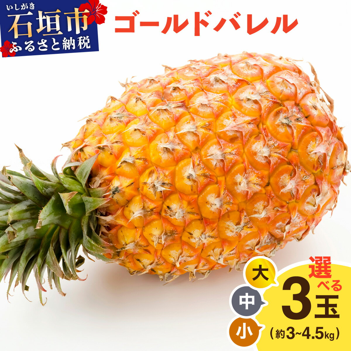 【ふるさと納税】《2026年5月上旬より順次発送》【大きさ選べる】ゴールドバレル 小〜大 3玉 約3〜4.5kg｜通常 訳あり 産地直送 沖縄 石垣 パイナップル フルーツ ｜石垣さんちの石垣トロピカルファーム TP-15 TP-16 TP-17 TP-18 TP-19 TP-20