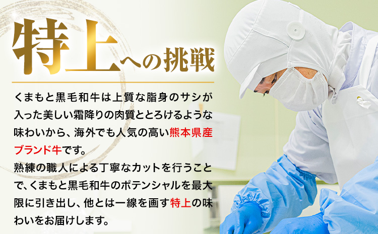くまもと黒毛和牛 ウデ・モモスライス 1000g (500g×2) 牛肉 冷凍 《30日以内に出荷予定(土日祝除く)》 くまもと黒毛和牛 黒毛和牛 冷凍庫 個別 取分け 小分け 個包装 モモ スライス