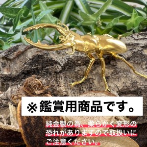 400-9-1 純金製（Ｋ２４）製　鋸鍬形（ノコギリクワガタ）