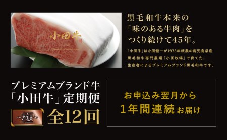 【全12回】プレミアムブランド和牛「小田牛」定期便 （～極～）鹿児島県産黒毛和牛 ステーキ すき焼き しゃぶしゃぶ ローストビーフ ハンバーグ カレー 総菜 おかず レトルト 冷凍 小田畜産 南さつま