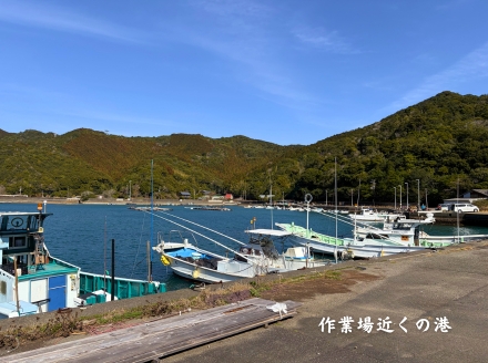 【四国霊場第23番札所・薬王寺にて御祈祷】厄除けのまち・美波町の天然塩「やくよけ塩」