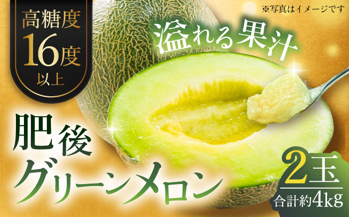 【先行予約】肥後グリーンメロン 約4kg(2玉入) メロン グリーンメロン フルーツ 熊本県産 【日本フルーツ株式会社】 [ZFJ004]