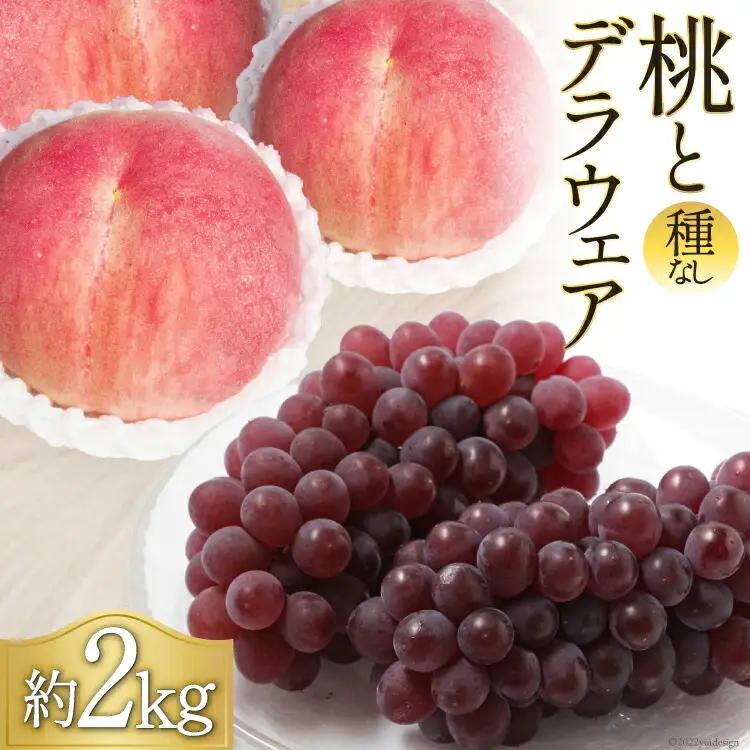 もも 3玉 & 種なし デラウェア 5～6房 合計 約 2kg 【2026年発送】 《7月下旬～8月上旬出荷》 [フルーツランド平賀 山梨県 韮崎市 20742842]