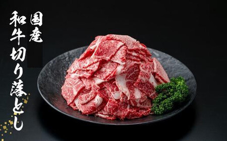 【2週間以内発送】国産和牛切り落とし2.4kg