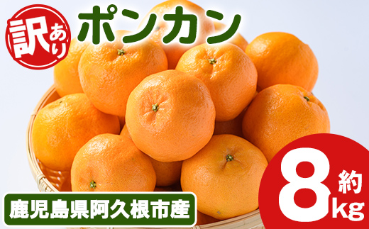 ＜先行予約受付中！2025年12月下旬以降順次発送予定＞訳あり！ポンカン(約8kg) 国産 ポンカン 柑橘 果物 フルーツ デザート 果実 期間限定 数量限定【古田果樹園】akn093-05