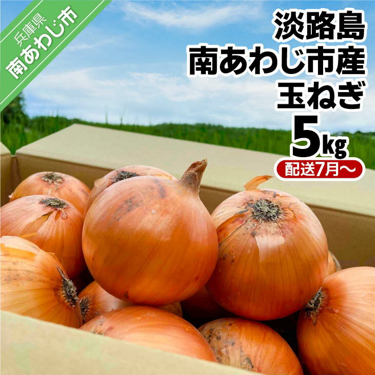 【ふるさと納税】【しょうちゃんFARM】　淡路島　南あわじ市産玉ねぎ 5kg　◆配送7月〜