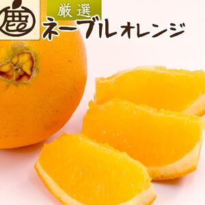 ＜2月より発送＞ 厳選 ネーブルオレンジ 5kg+150g（傷み補償分） 光センサー選別 ［IKE39］