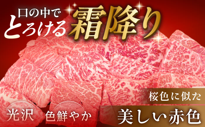 【チルド（冷蔵）発送！】 「飛騨牛」 A5等級 もも 1kg / 牛肉 焼肉 鉄板焼き 網焼き BBQ / 恵那市 / 東美濃農業協同組合 [AUFX006]