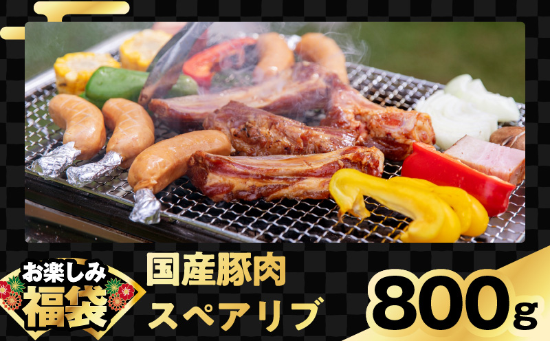 お楽しみ福袋 4種 2kgセット（牛肉 切り落とし／牛ハラミ／豚肉 スペアリブ／鶏肉）【氷温熟成×極味付け 焼肉 焼くだけ 食べ比べ お楽しみ 簡単調理 期間限定】 mrz0090