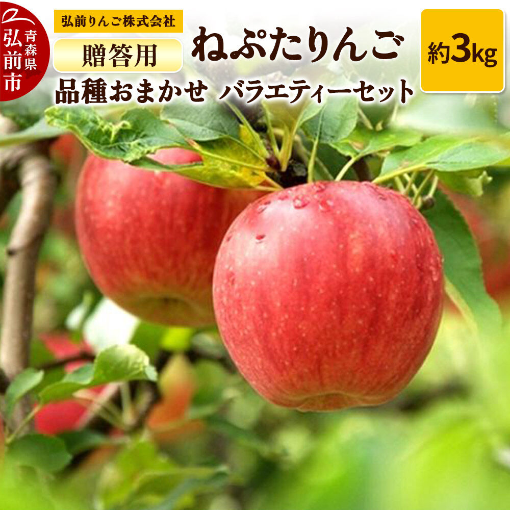 【ふるさと納税】【26年9月下旬〜発送】りんご ねぷたりんご バラエティーセット【贈答用】約3kg【品種おまかせ】 青森県 弘前市 果物 フルーツ 林檎 リンゴ くだもの ギフト 贈り物 [産地直送 詰め合わせ おまかせ セット アップル おいしい]