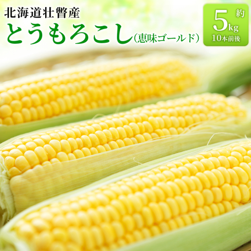 ＜2026年8月上旬より順次お届け＞北海道壮瞥産 とうもろこし（恵味ゴールド）約5kg 【 ふるさと納税 人気 おすすめ ランキング 北海道 壮瞥 先行予約 とうもろこし トウモロコシ 野菜 とうきび スウィートコーン  大容量 詰合せ セット 北海道 壮瞥町 送料無料 】SBTA001