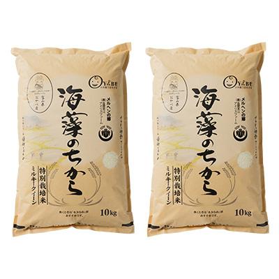 ふるさと納税 小矢部市 特別栽培米20kg (精米/ミルキークイーン10kg×2) |  | 03