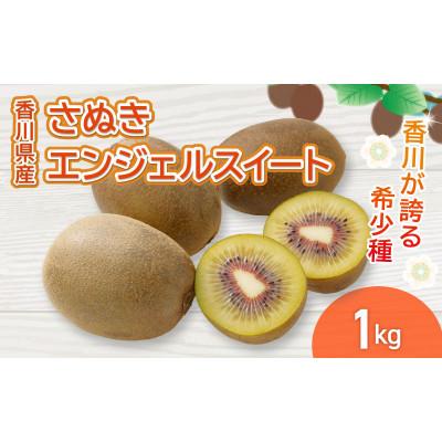 ふるさと納税 丸亀市 先行受付 さぬきエンジェルスイート 約1kg キウイフルーツ 香川県 丸亀市 発送11月上旬〜