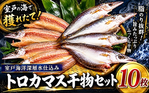 
                  トロカマス 干物 10枚 海洋深層水 仕込み 冷凍 焼き魚 魚介 海産物 魚 人気干物 おすすめ おかず ひもの ギフト 贈答用 いずま海産 高知県 室戸市
                