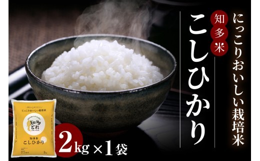 
                  にっこりおいしい栽培米　知多米こしひかり（2kg）│知多米 米 お米 こしひかり コシヒカリ 精米 栽培米 ブランド米 美味しい 国産 愛知県産 減農薬 減化学肥料 JAあいち知多 愛知県 常滑市
                