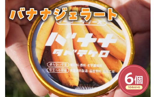 バナナジェラート(104ml)〔6個入り〕バナナ アイス スイーツ 洋菓子 お菓子 デザート 贈答 贈り物 ギフト プレゼント お取り寄せ 送料無料 山形県 米沢市