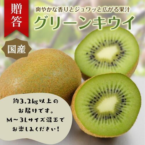 【ふるさと納税】東伊豆・佐藤農園のキウイ　贈答用　約3.2kg以上（Mサイズ～3Lサイズ） 1395 ／ 佐藤農園 果物 フルーツ 農家直送 静岡県 東伊豆町
