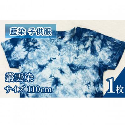 ふるさと納税 三好市 《110cm》三好の藍染　藍染子供服Tシャツ(叢雲染め)　綿100%　男の子/女の子人気柄