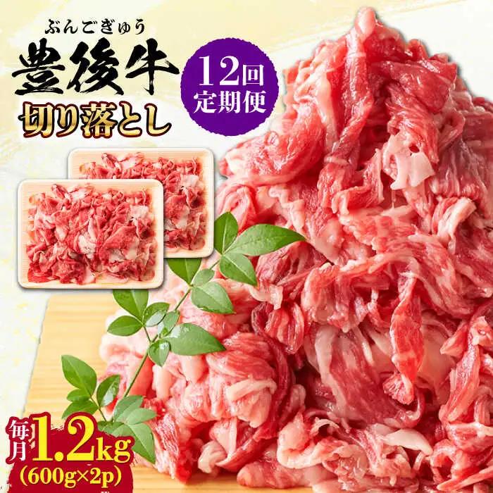 【全12回定期便】【大容量パック！】 おおいた豊後牛 牛肉 切り落とし 1.2kg (600g×2)  牛肉切り落とし 豊後牛[AREI049]