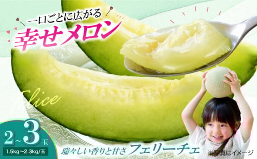 メロン 【先行予約】【6月上旬から順次発送】 メロン フェリーチェ 2から3玉 ふるさと納税 先行予約 2玉 3玉 2025年発送 フェリーチェ 糖度 高い 甘い 芳醇 希少 順次発送 高級 旬 完熟 梶原農園 愛媛県大洲市/梶原農園 [AGCX002] メロンめろん 果物 くだもの フルーツ 新鮮 愛媛県産 大洲市産 産地直送 おすすめ 人気 お取り寄せ 送料無料 贈答 ギフト