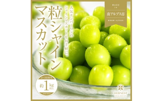 ＜2025年発送分先行予約＞山梨県南アルプス市産シャインマスカット　粒　1ｋｇ ALPAH044