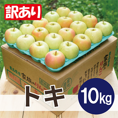 
            ＜2026年2月より順次発送＞平均糖度13度以上! トキ 約10kg 訳あり【1608081】
          