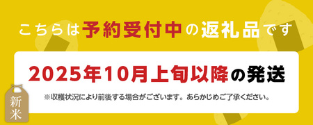 【令和7年産 新米】福岡県産ブランド米元気つくし 白米 9kg_元気つくし 白米 内容量 9kg 福岡県産 ブランド米 精米 鮮度抜群 新鮮 福岡生まれ 品種 香り豊か ふっくら 食感 ご飯 白ご飯 