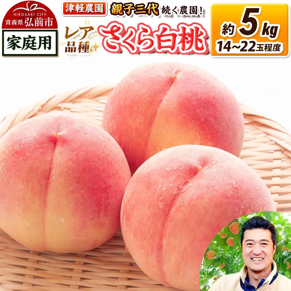 【26年9月発送】桃 約5kg(14～22玉程度) 青森【2026年産 レア品種 さくら白桃】もも 家庭用 くだもの フルーツ 果物 津軽農園 採れたて 農家直送