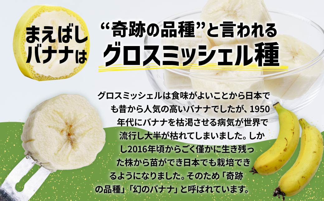 国産 バナナ 1.2kg 入り | 国産 ばなな 幻 高級 極上の甘み もちもち食感 糖度 夏休み 子ども ヒルナンデス メディア 群馬県 前橋市