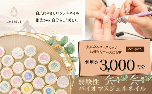ネイルサロン利用券　3000円 50P8414 / 東北 秋田 大館 ネイル 爪 ケア ジェル ワンカラー シンプル デザイン 弱酸性 バイオマス ファッション おしゃれ 認定 サロン アート グラデ ラメ パール ホログラム シェリベ シェリヴェ シェルベ チケット