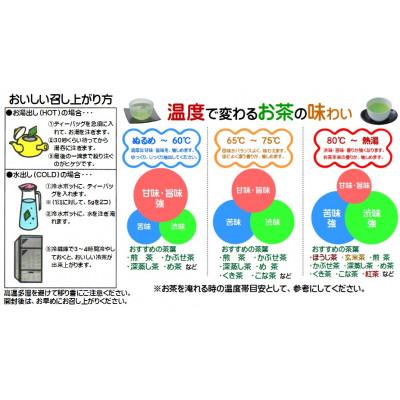 ふるさと納税 湖西市 湖西市公式コミュニケーションキャラクター 「うなぽん」 静岡茶ティーバッグ 7袋 |  | 02