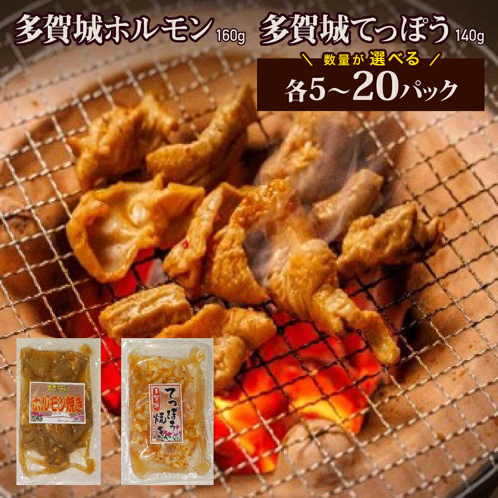 【ふるさと納税】多賀城ホルモン・多賀城てっぽう 【内容量が選べる】各5パック～各20パック 牛 肉 焼肉 バーベキュー 仙台 宮城 仙台 宮城 名物 小分け 簡単 送料無料 【04209-0271・272・427・428】
