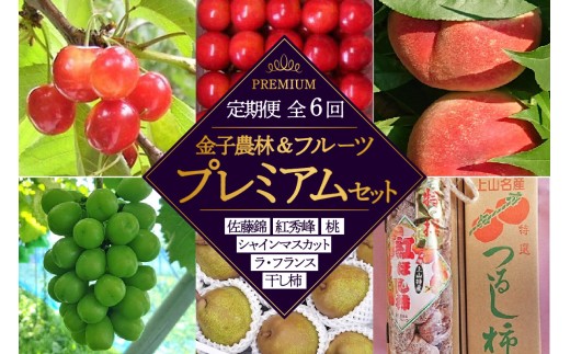 【定期便：全６回】金子農林＆フルーツプレミアムセット（さくらんぼ・桃・シャイン・西洋梨・干柿）　0015-2601