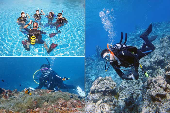 【ふるさと納税】伊東・城ヶ崎の海で初級ダイビングライセンスが取得できる2日コース(1名様)