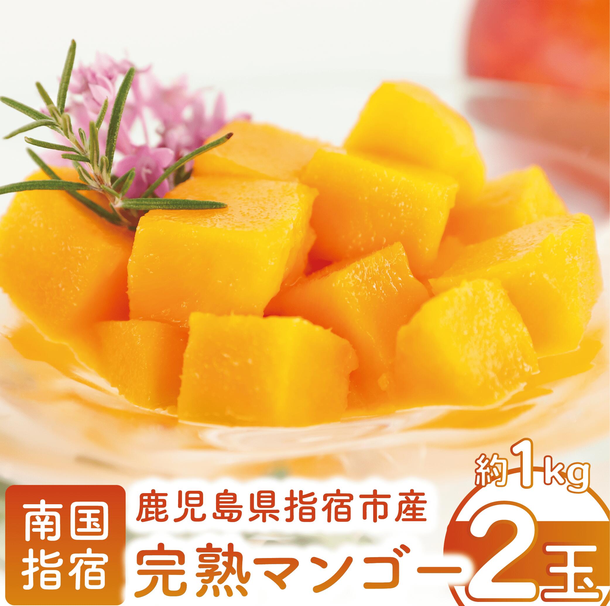 【ふるさと納税】鹿児島県指宿市産 完熟マンゴー 2玉(約1kg) マンゴー フルーツ 果物 夏 旬 果実 くだもの 鹿児島県産 国産 完熟 農家直送 産地直送 産直 トロピカル トロピカルフルーツ 南国 指宿 鹿児島 【花立山農業研究所】