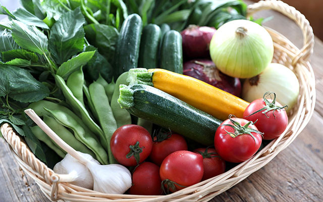 日々新鮮な野菜を取り揃えています