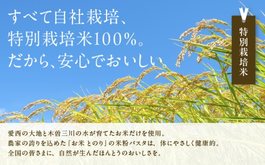 米粉 パスタ お米 米 玄米 米粉パスタ グルテンフリー 麺 米粉麺 小麦不使用