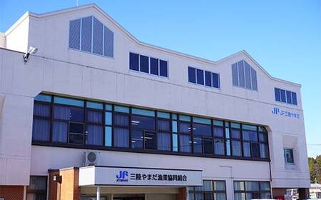 ≪発送期間4月～7月≫三陸やまだオランダ島サーモン×1本（約2kg）【三陸山田漁協】【月曜日発送】【沖縄・離島配送不可】三陸山田 山田町 山田湾 山田産 トラウトサーモン 鮭 養殖 刺身 カルパッチョ