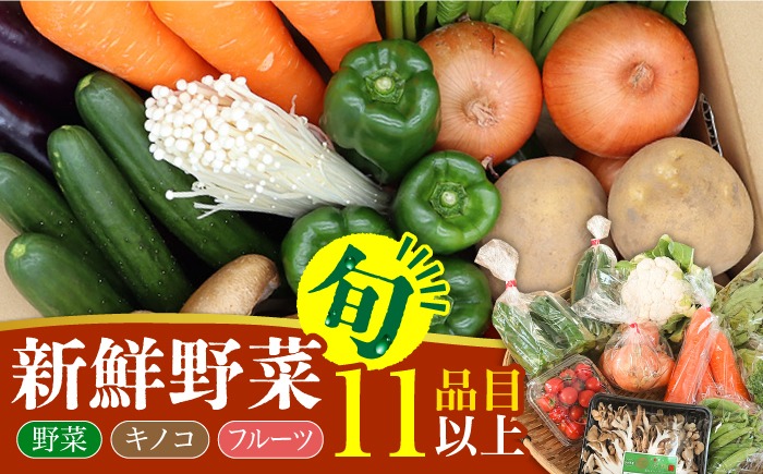 新鮮 野菜 キノコ 果物 11品目 詰め合わせ / 野菜 やさい きのこ キノコ 詰め合わせ セット 野菜セット きのこセット / 吉岡青果 / 南島原市 [SCZ004]