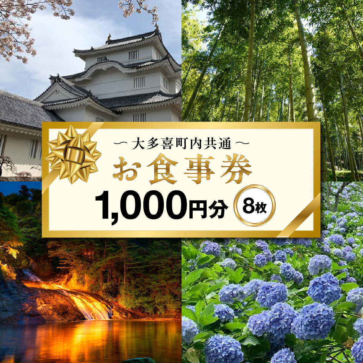 【ふるさと納税】大多喜町内共通お食事券1000円分×8枚 W03026