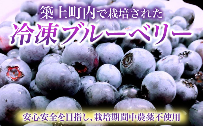 【先行予約受付中】築上町産 冷凍 ブルーベリー 1kg 【2025年9月以降順次発送】《築上町》【(有)工房よしかわ】国産 ブルーベリー [ABAK001] 13000円 1万3千円