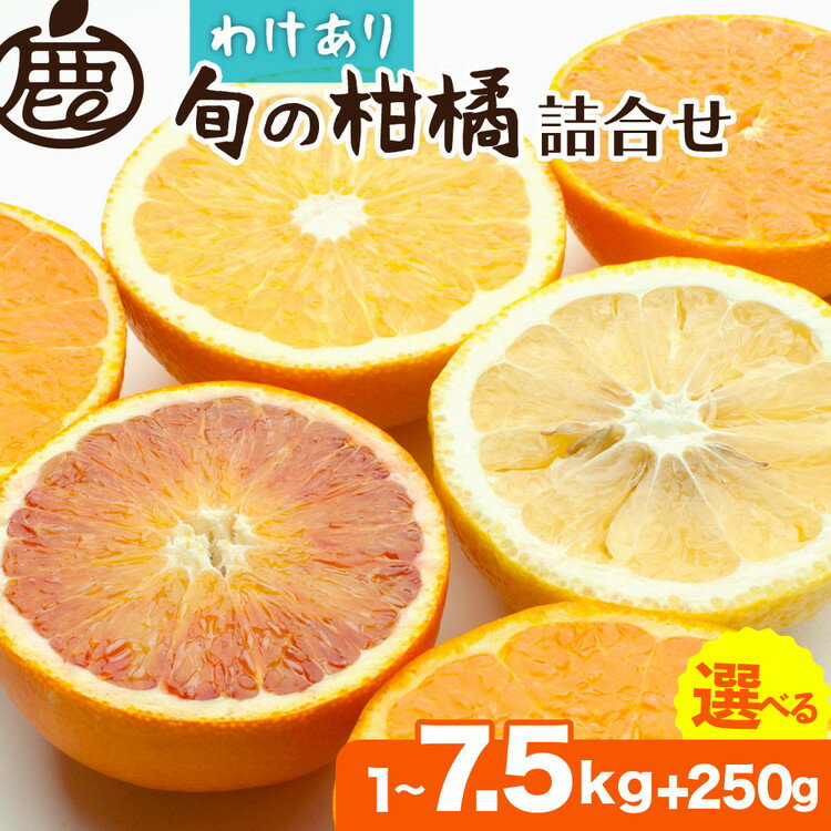 【ふるさと納税】＜1月より発送＞選べる内容量 家庭用 柑橘詰合せ◇【訳あり・わけあり】【有田の春みかん詰め合わせ・フルーツ詰め合せ・オレンジつめあわせ】【光センサー選別】 ※北海道・沖縄・離島への配送不可 ※2026年1月上旬～4月下旬頃に順次発送予定