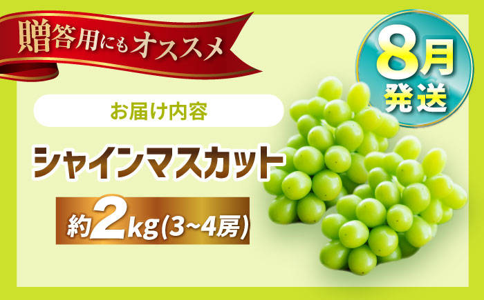 【8月発送】 シャインマスカット 計2kg（3〜4房）＜濱崎農園＞ [CGN003]