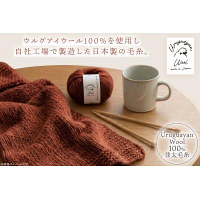 ふるさと納税 江南市 あみもねっと ウルグアイウール並太 10番色 10玉セット |  | 01