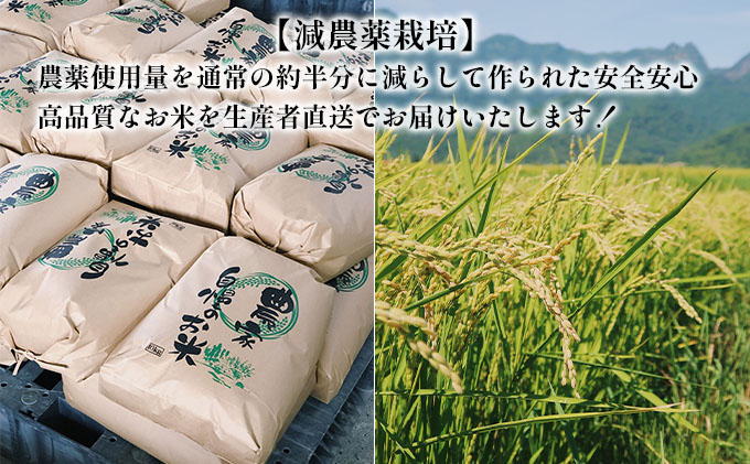 【令和7年度】北海道 富良野産 ゆめぴりか 減農薬 10kg 米 (