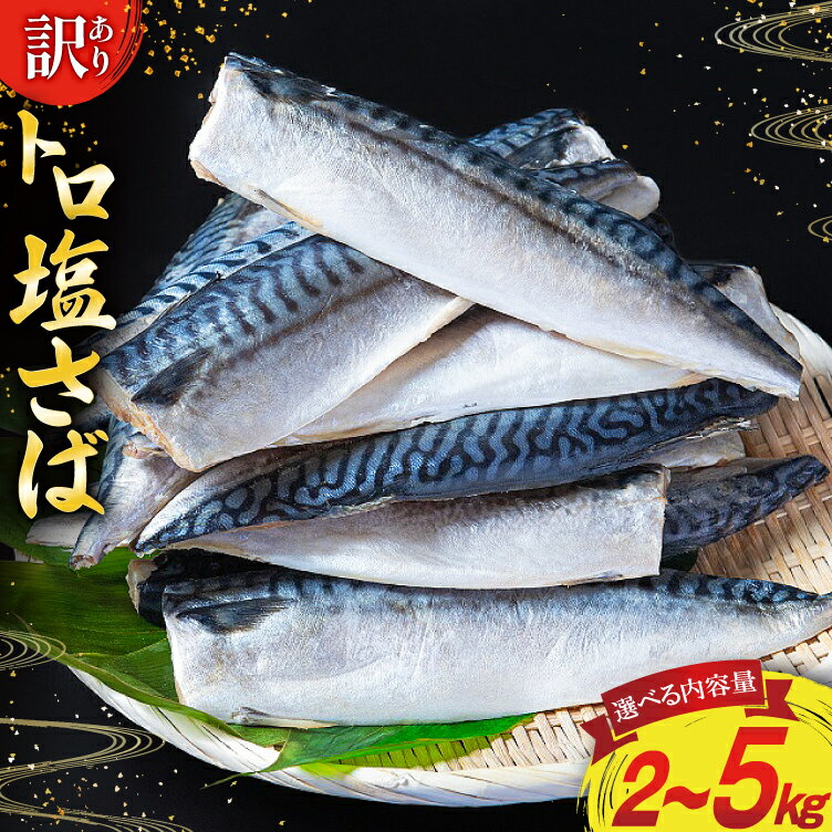 【ふるさと納税】訳あり 塩サバ フィレ 【選べる内容量】2kg/3kg/5kg [足利本店 宮城県 気仙沼市 20565497] 魚 海鮮 さば サバ さば 鯖 サバフィレ 鯖フィレ 切り身 冷凍 訳アリ わけあり トロサバ 減塩 とろさば 無添加 人気