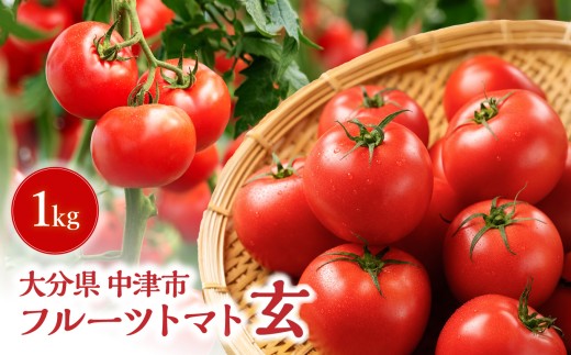 【期間限定】フルーツトマト 玄 1kg×1箱 | ミニトマト ぷちとまと ミニトマト プチトマト 国産 ミニトマト 大分県中津産 九州野菜 大分県 中津市