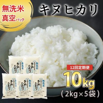ふるさと納税 亀岡市 【毎月定期便】無洗米 京都丹波産 キヌヒカリ 10kg(2kg×5袋) 真空パック 全12回