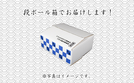 訳あり しらす 2kg 冷凍 ちりめん かちり しらす干し 減塩 極み ごはん 丼 パスタ チャーハン サラダ 魚 料理 山庄 愛知県 南知多町 師崎【配送不可地域：北海道･沖縄･離島】  ( 訳あり