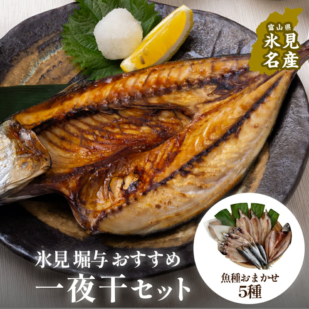 【ふるさと納税】《氷見堀与》 おすすめ一夜干5種セット 〈冷凍〉